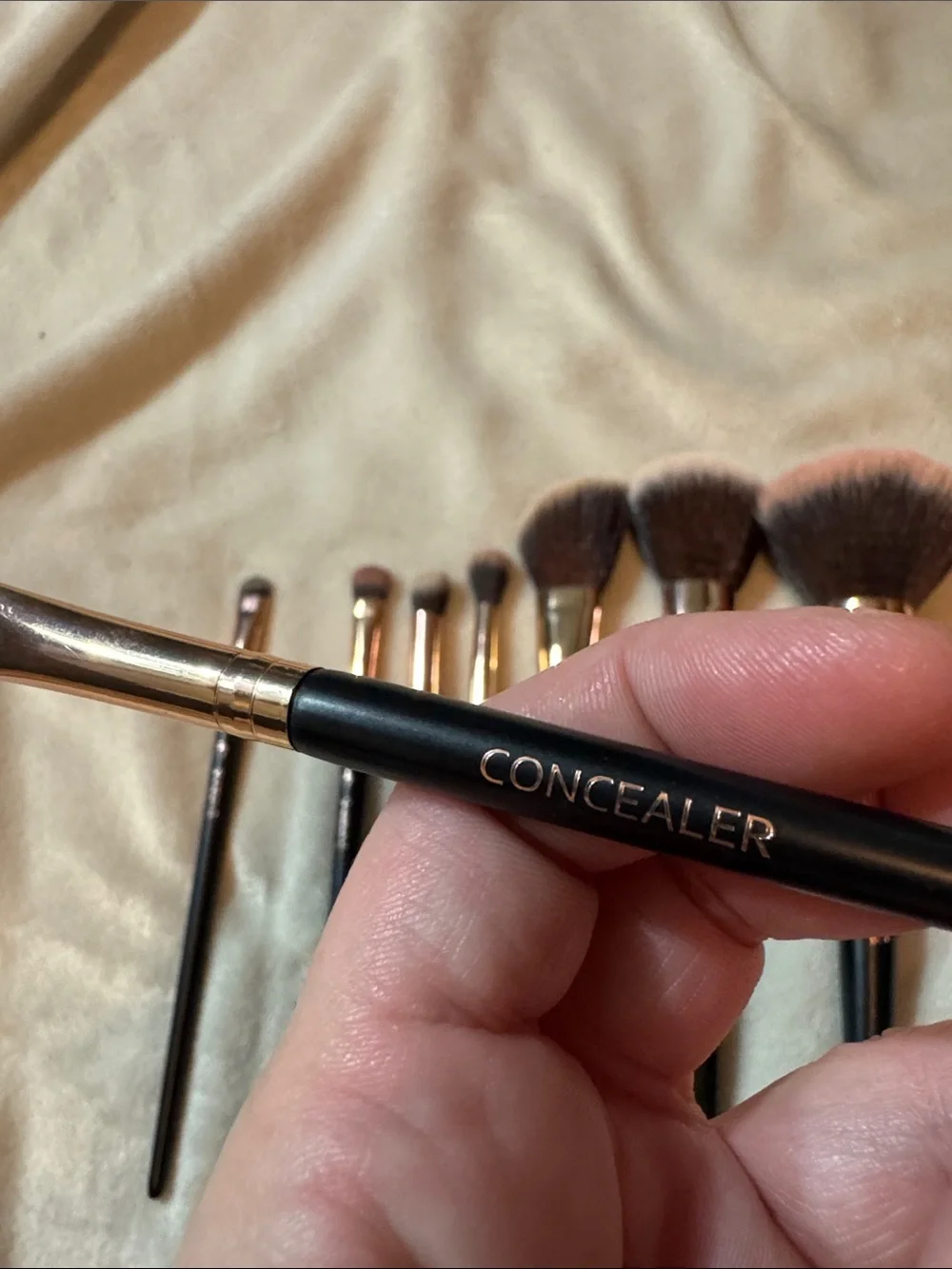 Shaina B 8-Piece Black Handle Makeup Brush Set